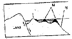 The feature marked N is the